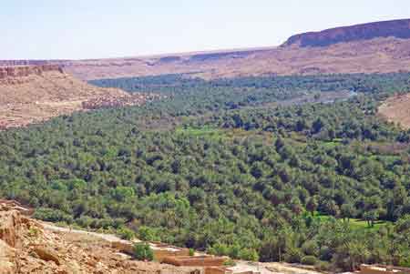 Oasis de Tafilalet