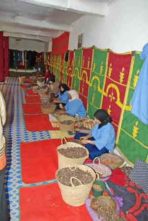 Coopérative féminine Marjana pour l'extraction de l'huile d'argan