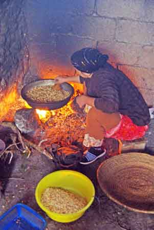 Coopérative féminine Marjana pour l'extraction de l'huile d'argan