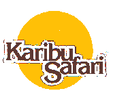 karibu : notre tour operateur