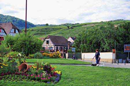 Ribeauville Alsace Route des vins France