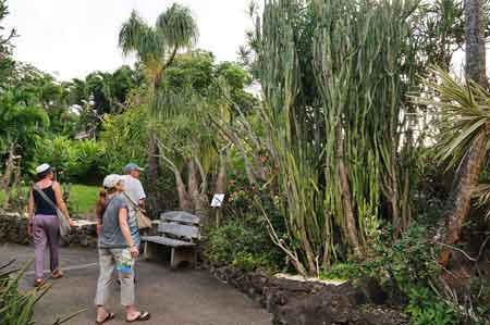 jardin botanique Deshaies Guadeloupe