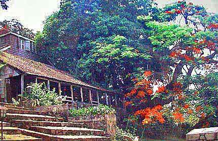  habitation cl�ment