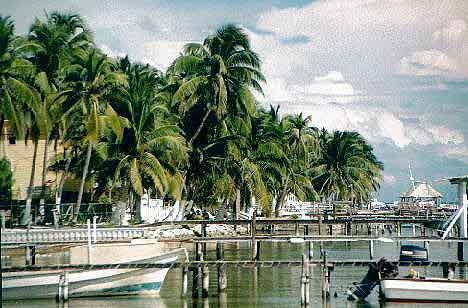 caye Caulker - Belize