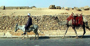caravane 2