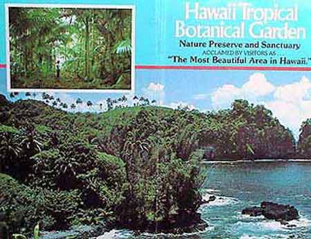 Big Island jardin botanique  Hawaii