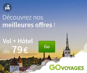 go voyages vol et hotel