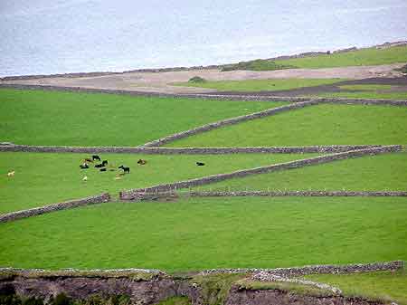 Irlande Ring of Kerry  