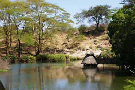 Kenya safari parc Tsavo