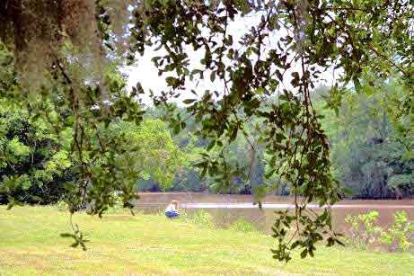 Le bayou Têche