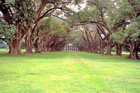 Oak Alley Plantation de Louisiane 