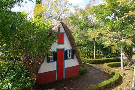 jardin botanique de Funchal Madere