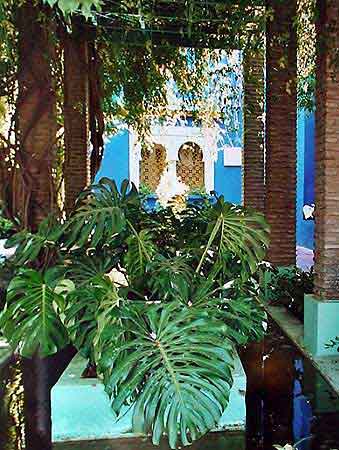 jardin de Majorelle