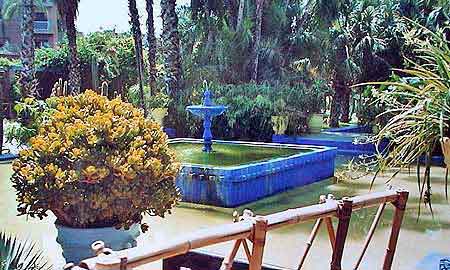 jardin de Majorelle