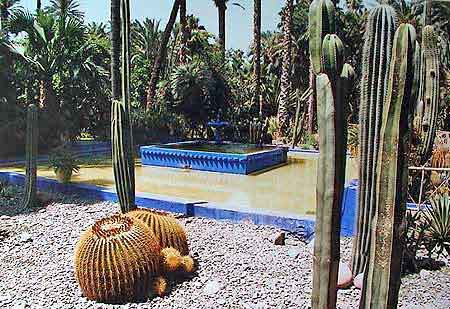 jardin de Majorelle