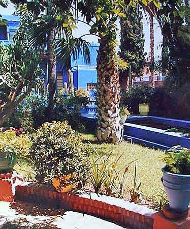 jardin de Majorelle