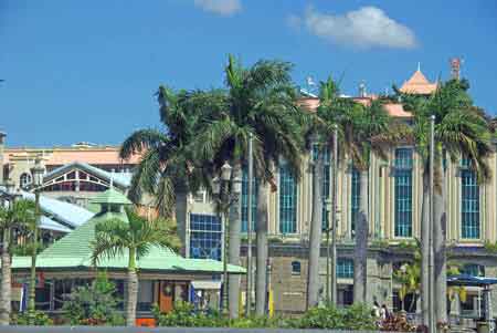 quartier du port  Port Louis Ile Maurice