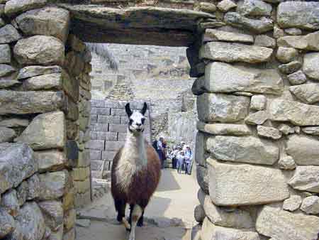 Pérou le temple du condor Machu Picchu