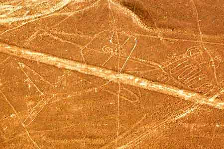 Pérou les lignes de Nazca  