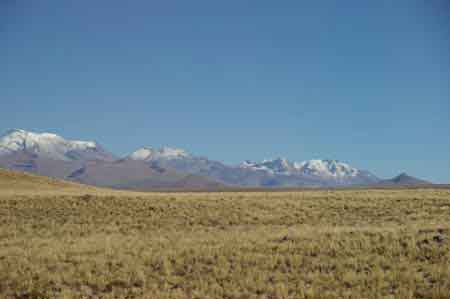 Pérou Parc national de Colca Altiplano 