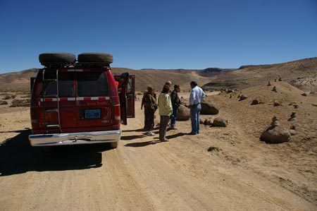 Pérou altiplano lamas, alpagas et vigognes 