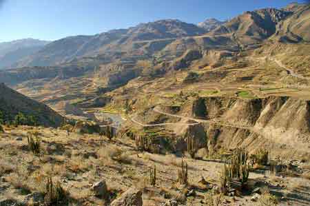 Pérou Parc national de Colca Altiplano 