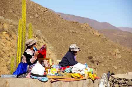 Pérou Canyon de Colca : le vol des condors 