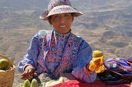 Pérou Canyon de Colca : le vol des condors 