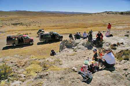 Pérou altiplano lamas, alpagas et vigognes 