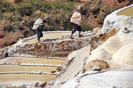 Pérou Salinas de Maras salines 