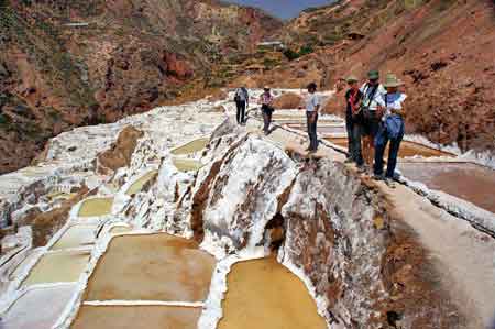 Pérou Salinas de Maras salines 