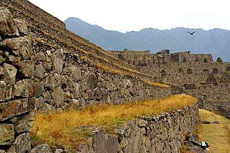 Pérou site inca du Machu Picchu