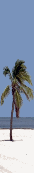partir en floride Etats Unis