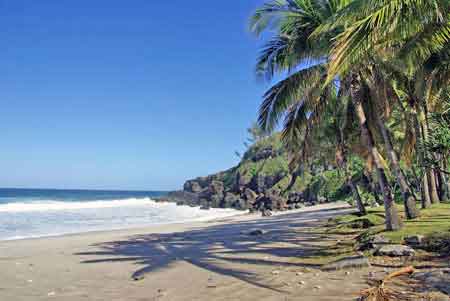 la magnifique plage de Grance Anse est borde de palmiers