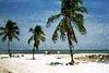 Voyage en Floride