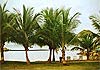 Vacances en Guadeloupe et Martinique