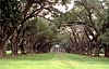Louisiane