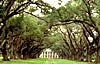 Voyage en Louisiane