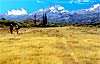 Voyage en Argentine Patagonie
