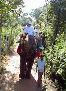 ballade  dos d'elephant Sri Lanka