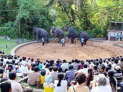 Zoo de Colombo Sri Lanka