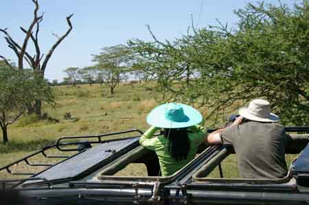 Serengeti  Tanzanie Safari Masai Mara