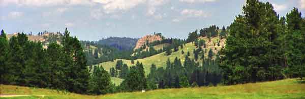 Custer state park Collines noires South Dakota