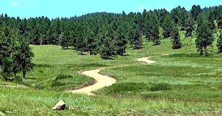 Custer state park Collines noires South Dakota