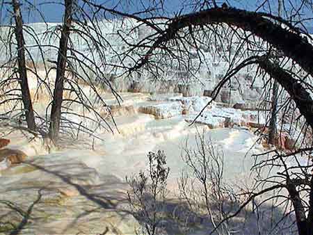 mammoth _ yellowstone park Wyoming