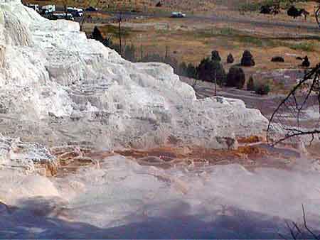 mammoth _ yellowstone park Wyoming