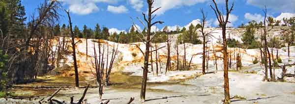 mammoth _ yellowstone