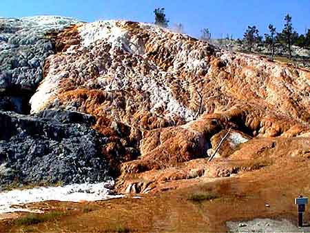 mammoth _ yellowstone