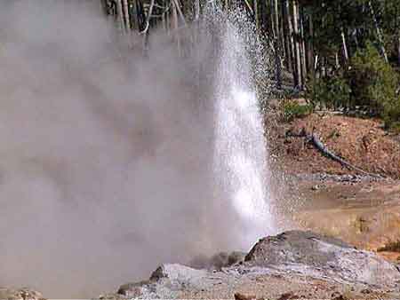 yellowstone park Wyoming