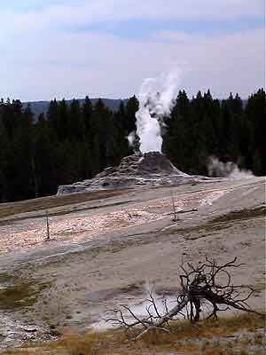 yellowstone park Wyoming